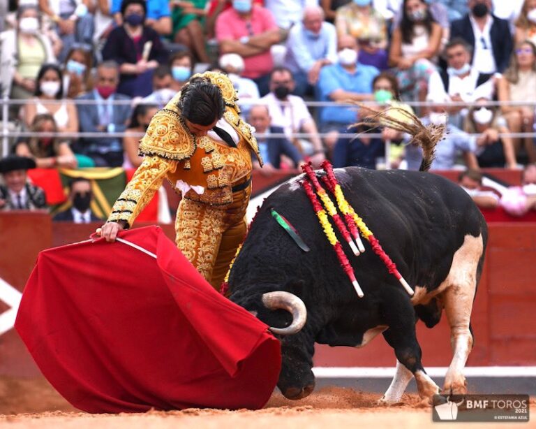 Francisco Galache: « Je comprends la réduction des festivités de Morante, mais j&rsquo;imagine qu&rsquo;elle sera annoncée avec l&rsquo;une de nos corridas »