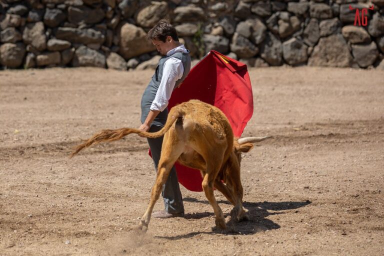 Gilio ne connaît pas « El Juli », mais « je l&rsquo;admire beaucoup »