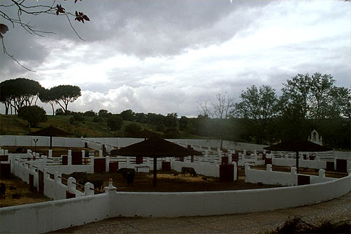 L&rsquo;UNPBE célèbre une journée portes ouvertes à Venta del Batán pour son 45e anniversaire