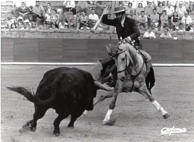 Labrit, cheval historique de Pablo Hermoso de Mendoza, est décédé