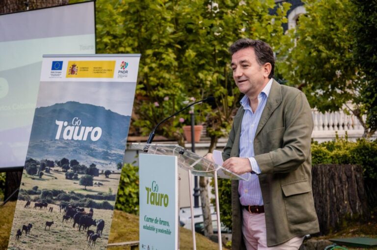 Le chevalier du champ |  worldtoro.com