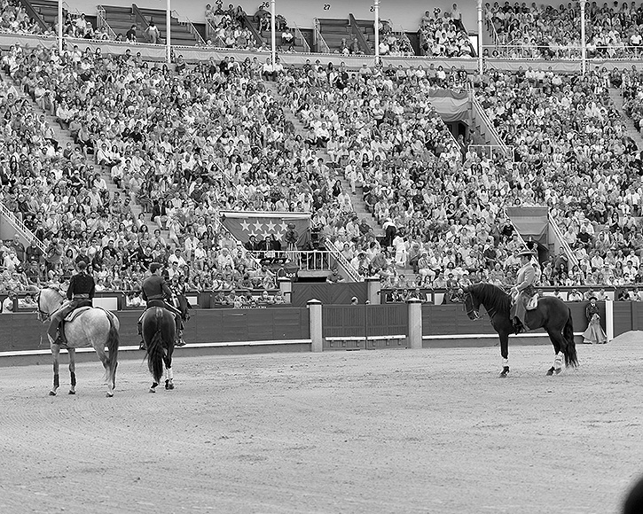 Le rejoneo en état d&rsquo;alerte : de 445 célébrations en 2008 à 166 en 2022
