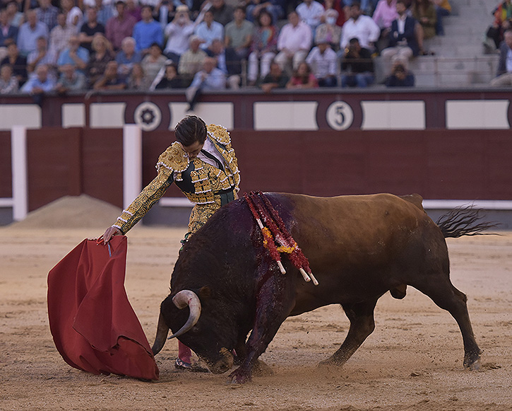 Nouvelles dans le gang de Juan Ortega