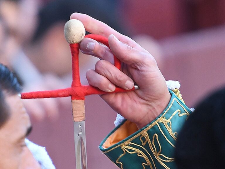 Prix ​​Laguna de Duero : José Rojo, lauréat ;  Daniel Medina, meilleur travail