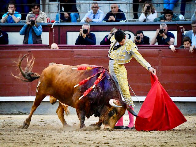 Prix ​​​​Diego García, reconnaissance comme novillero de la saison