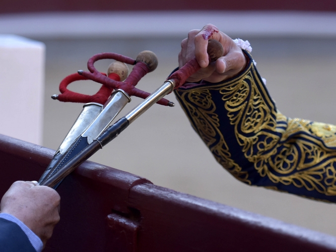 Roca Rey, Morante et Rufo finalistes pour le RNE Golden Ear