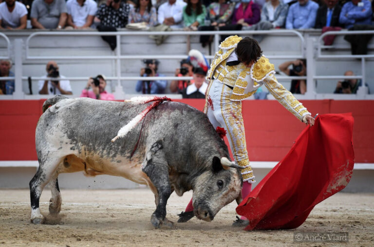 Roca Rey, vainqueur du sud-est de la France