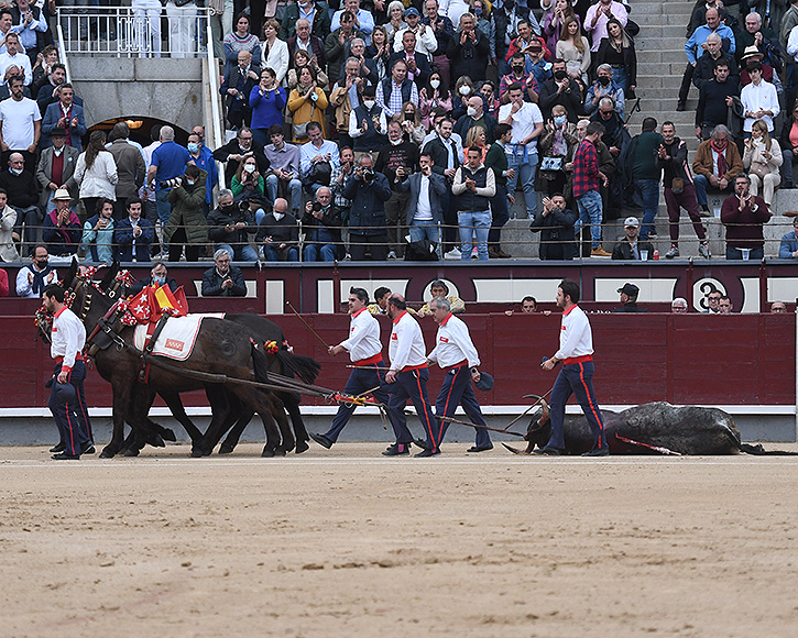 Victoriano del Río à Madrid : Trente ans et dix-sept Grandes Portes