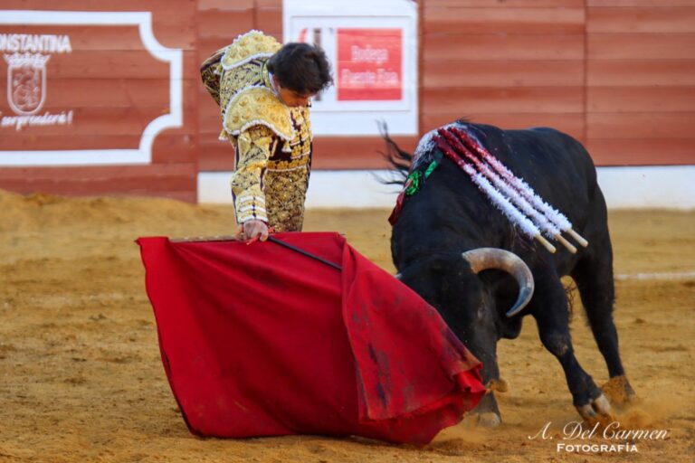 « Commencer l&rsquo;année marquée à Séville est un luxe »