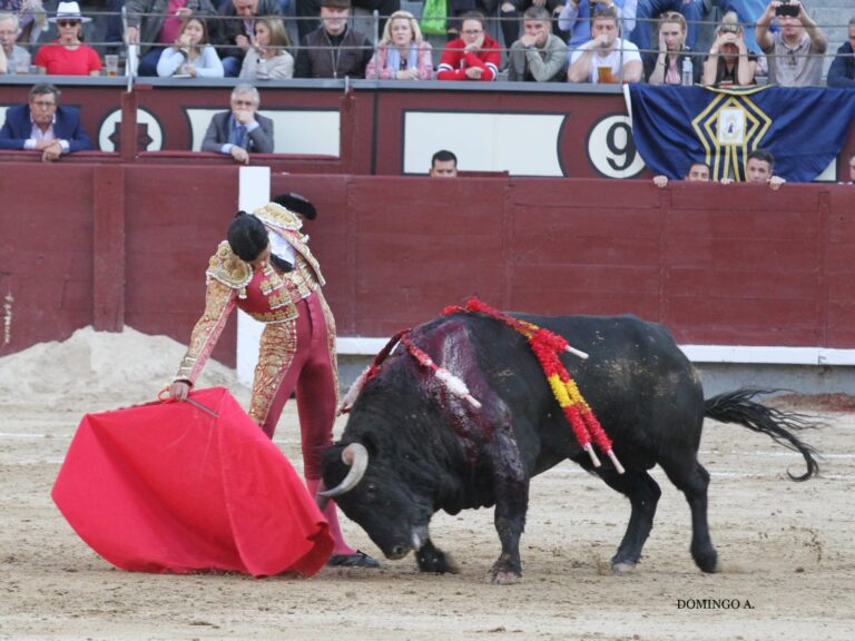 « Ils m&rsquo;ont presque toujours demandé de l&rsquo;argent pour me battre »
