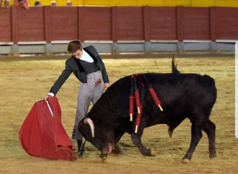 « J&rsquo;essaie de faire de la tauromachie pure et profonde »