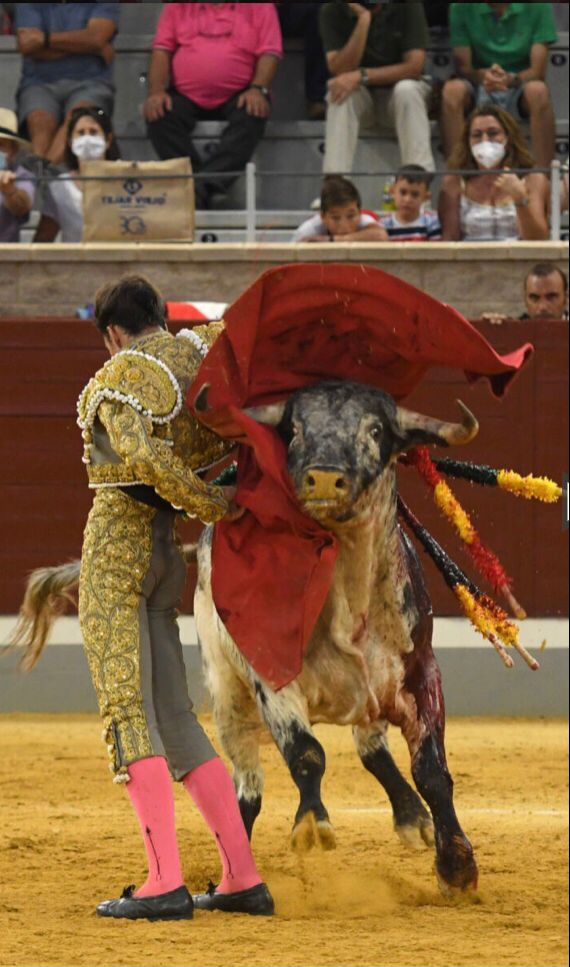 « La tauromachie, c&rsquo;est dur ou pas, ça dépend de comment tu vis ton métier »