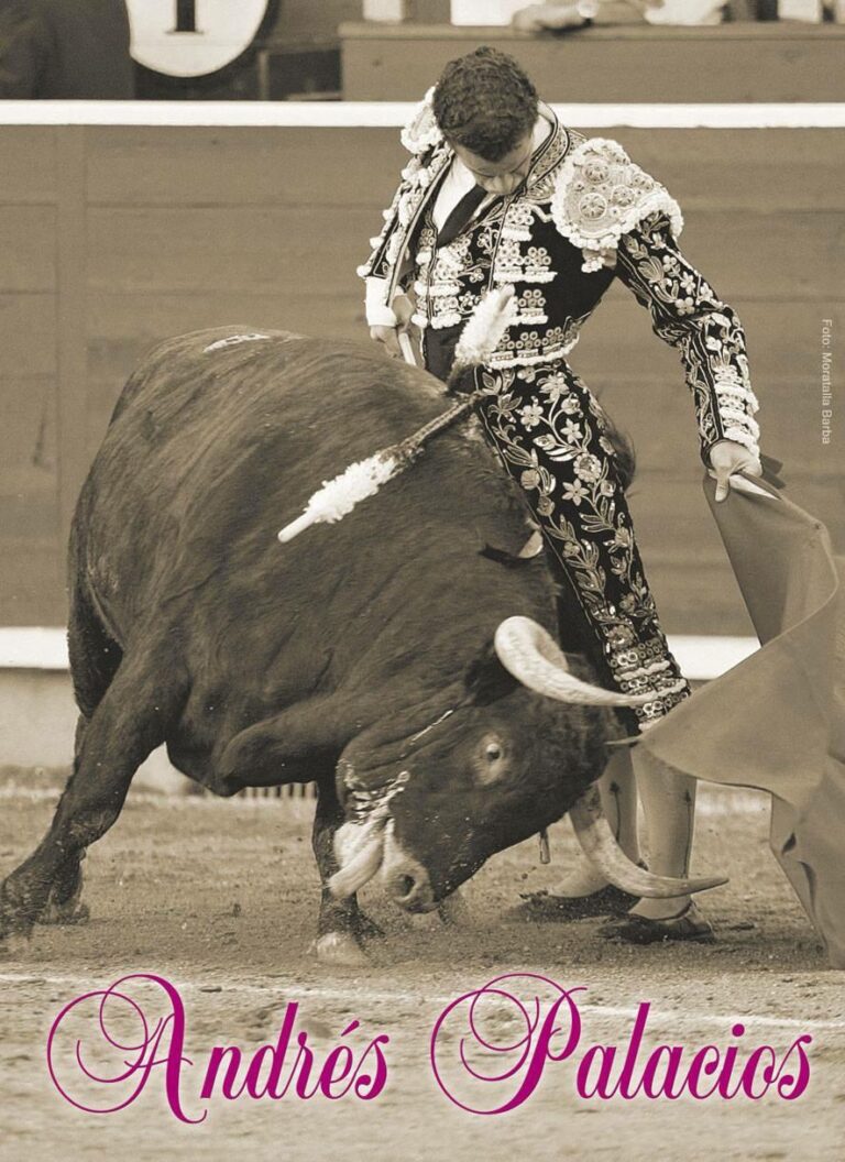 Même illusion après 15 ans d&rsquo;alternative