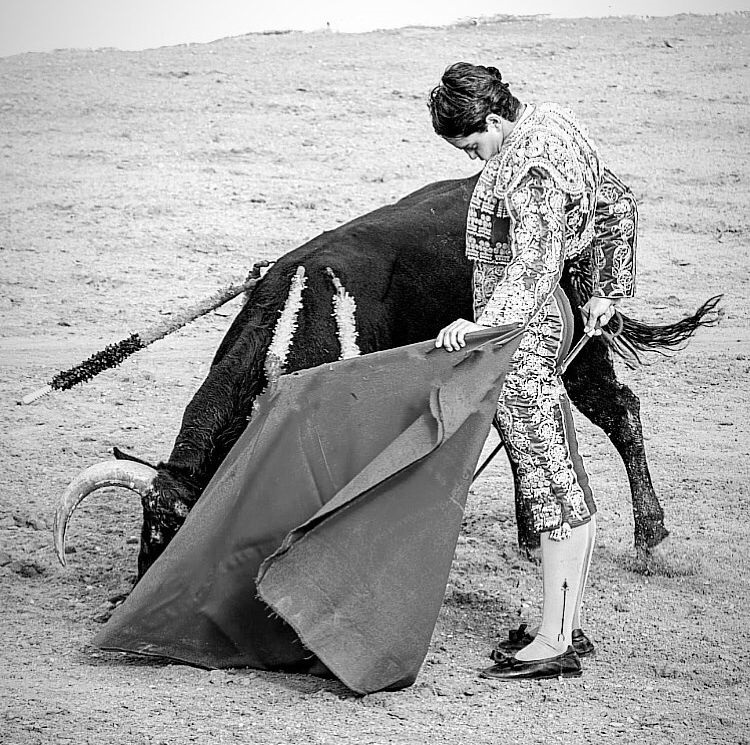 « Mes succès et mes échecs ont été remplacés par l&rsquo;illusion d&rsquo;être un torero »