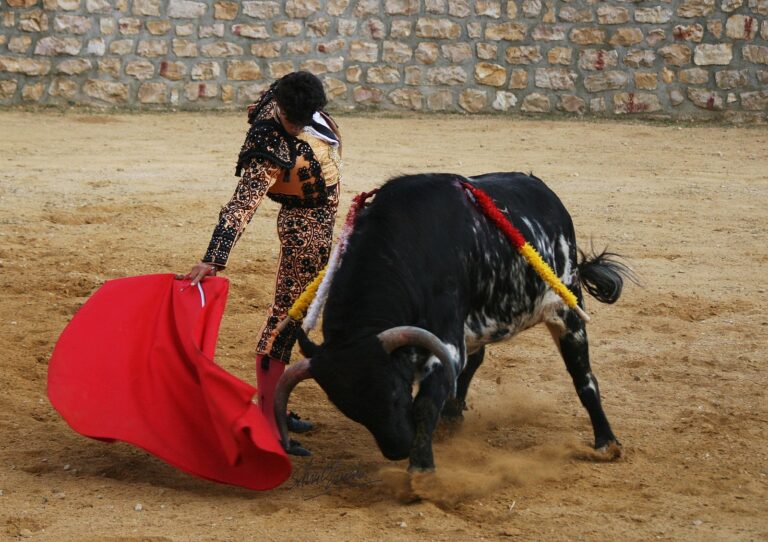 « …Mon frère représente tout pour moi »