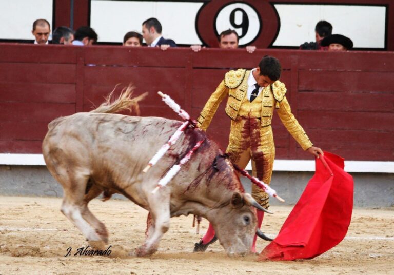 « Quand tu n&rsquo;es pas dans le circuit, ils ne t&rsquo;appellent pas »