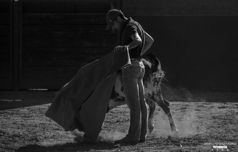 Salvador Ruano vocation pour le taureau……………..