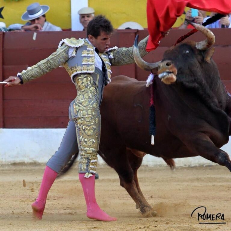 « … la tauromachie est très dure car ici tu risques vraiment ta vie »