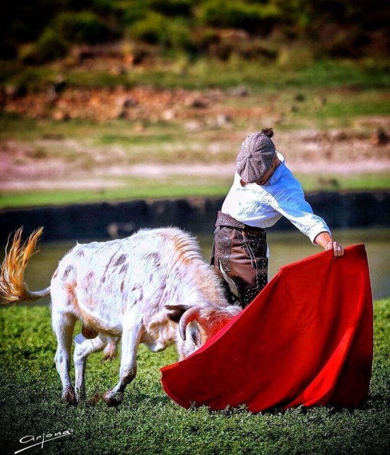 ► Entretien avec le torero de Malaga David Galán