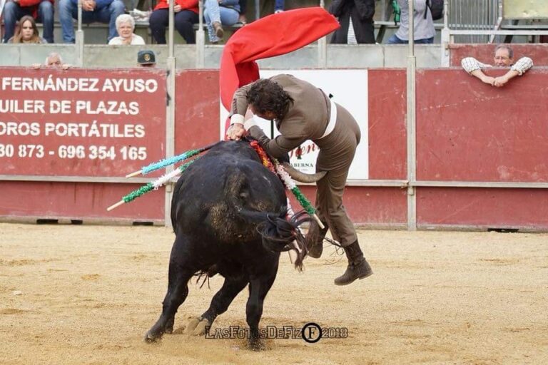 Álvaro de la Calle : La lutte continue