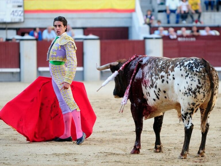 Andrés Jiménez, un coq en terres califes (Interview)