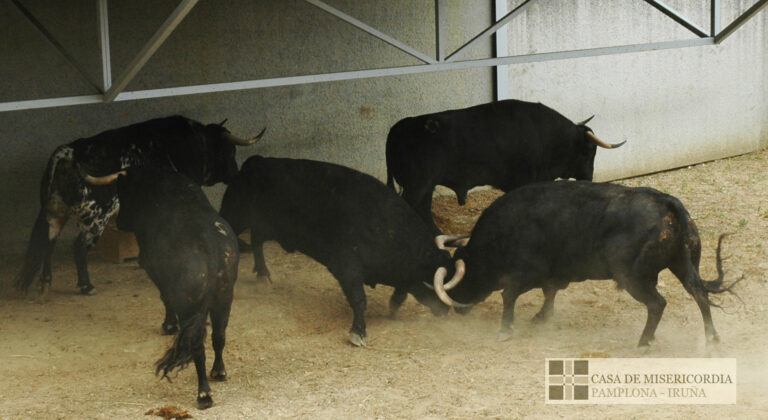 C&rsquo;est cinq cinquièmes C&rsquo;est cinq cinquièmes…………