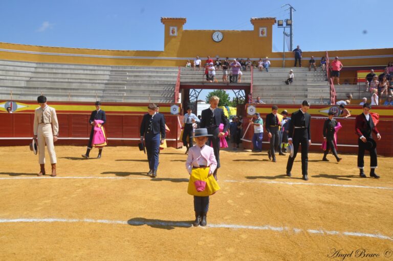 Cours pratique des élèves des écoles de l&rsquo;Alcázar de San Juan, Colmenar