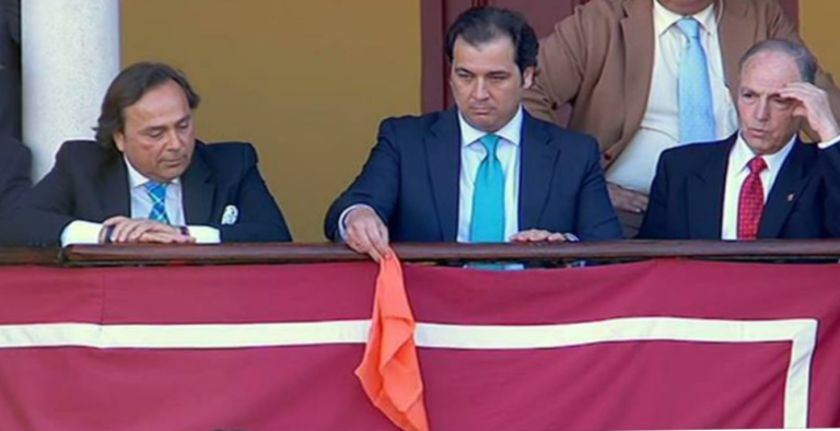 De « Fusiliero » à « Terciopelo », les 29 taureaux graciés en 2017