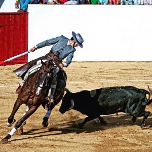 Juan Quinta « J&rsquo;aime beaucoup grignoter mais le rejoneo c&rsquo;est ma vie » (Interview)