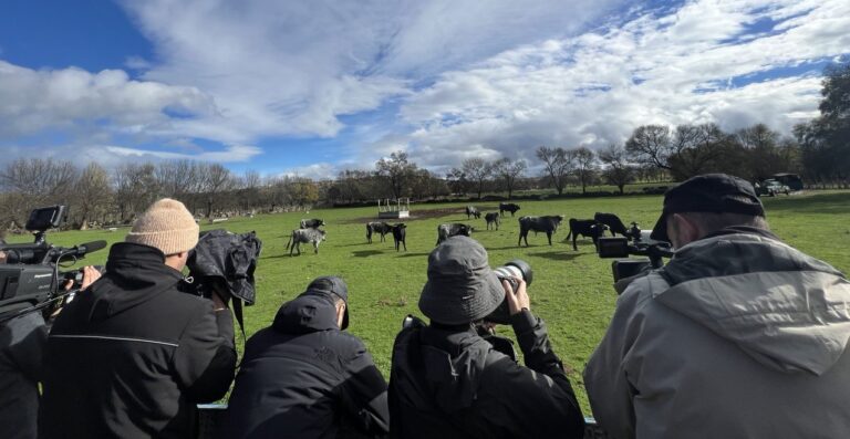 La Fondation Toro de Lidia rapproche la tauromachie de vingt correspondants étrangers