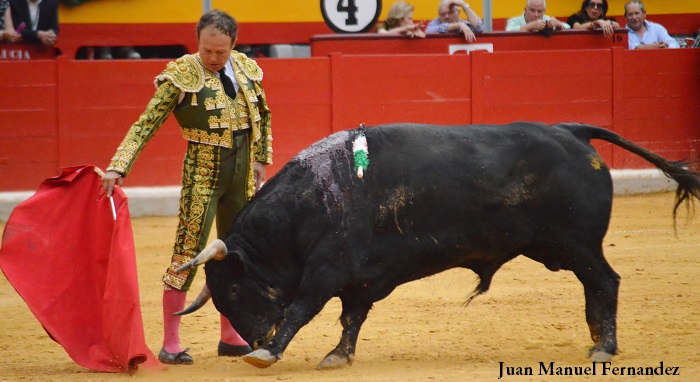 L&rsquo;amitié avec Morante m&rsquo;a redonné l&rsquo;illusion de me battre