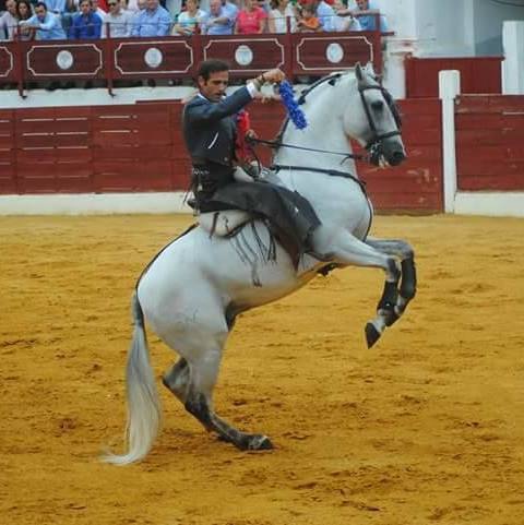 « L&rsquo;anti-corrida ne connaît pas la liberté que les taureaux de combat ont dans le pâturage et les soins dont ils disposent » Juan Manuel Cordero (Interview)