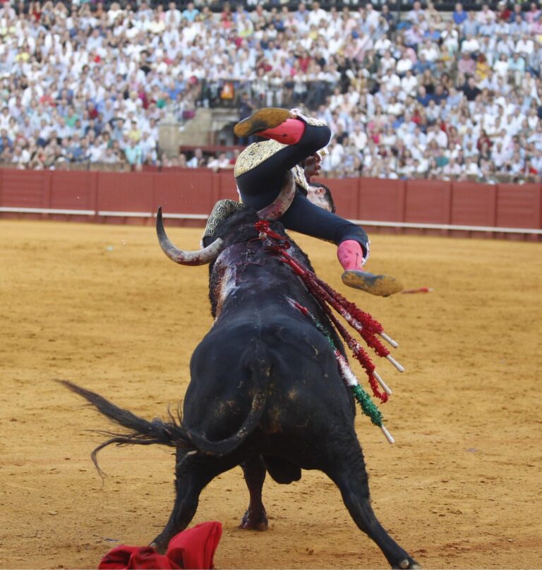 Le difficile chemin de la gloire