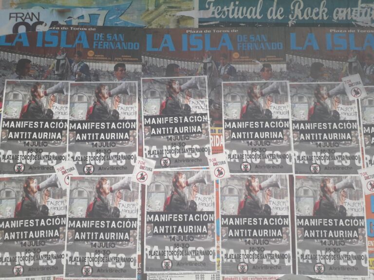 Le manque de respect anti-corrida