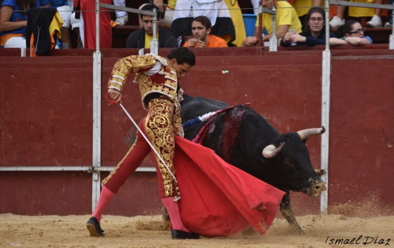 Le torero Jesús Martínez ajoute et continue