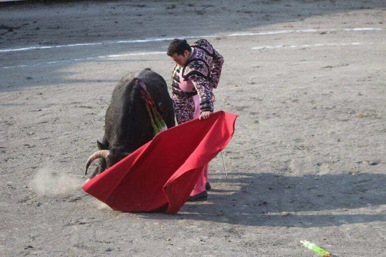 Le torero Oscar de León « Actuellement, mon mandataire est Dieu »