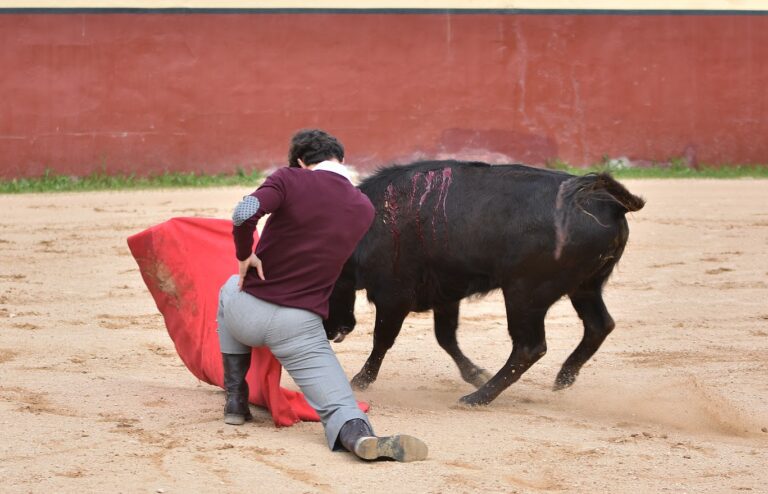 Le torero madrilène Jesús Martínez intensifie sa préparation sur le terrain