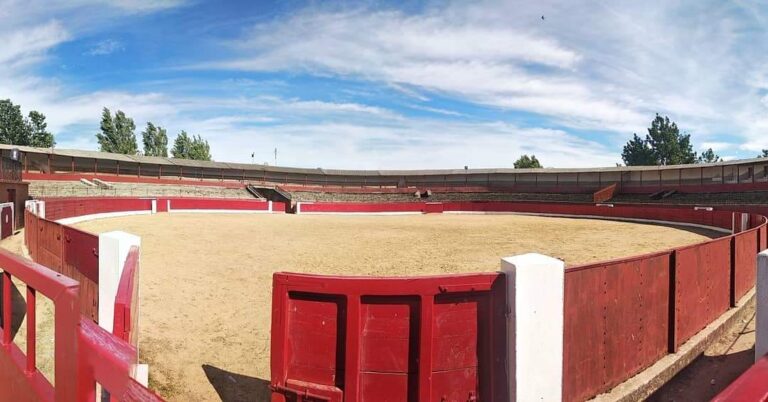 Les Albaserradas de Victorino reviennent à Vitigudino (Texte : Daniel Román Casado)