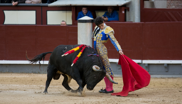 Les plaintes des toreros