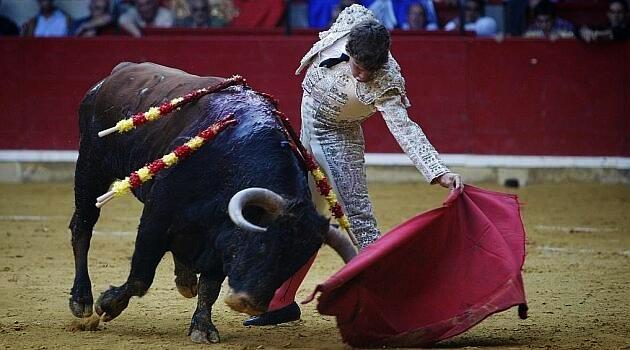 « Les taureaux sont vrais » Fernando Rey (Interview)