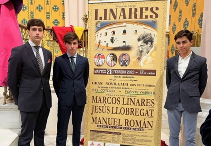 Manuel Román a fait ses débuts avec des picadors à Linares (Jaén)