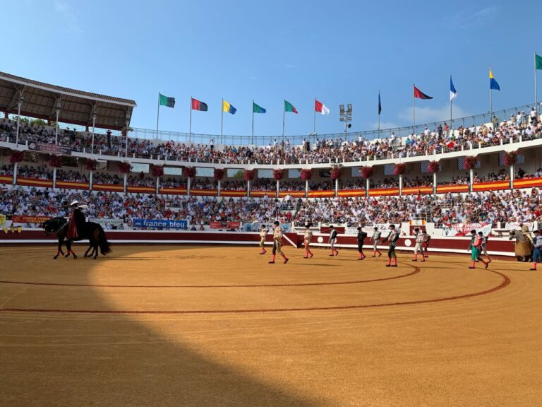 Nouveau revers judiciaire pour l&rsquo;anti-corrida française