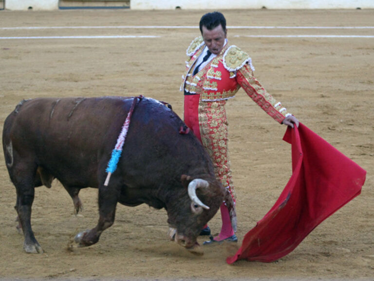 « Parfois, le cœur commande plus que le bon sens »