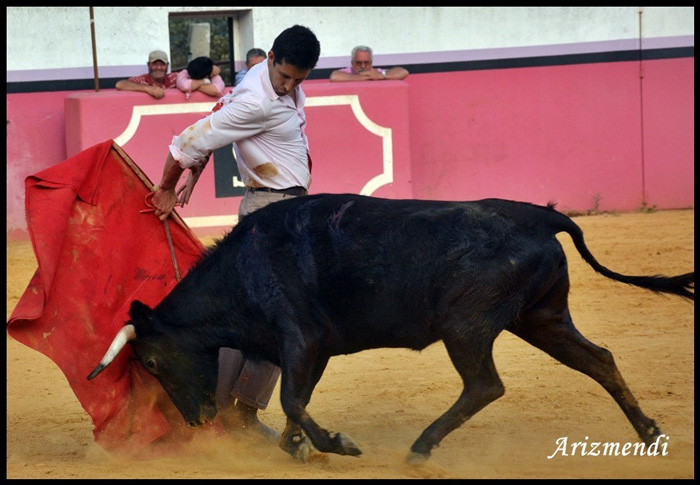 Pedrito du Portugal nous raconte le retour dans les arènes espagnoles.