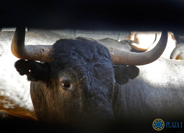 Sérieux et vérité en France