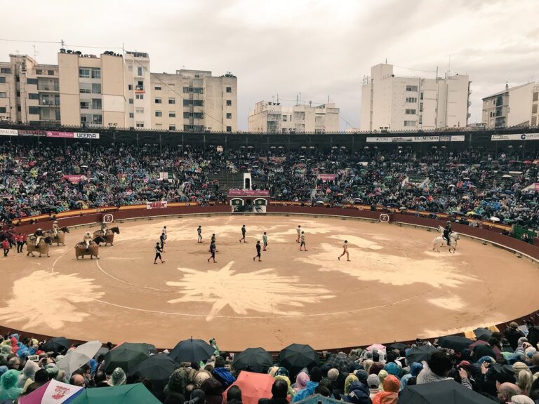 « Tu n&rsquo;es pas un torero… tu es un Taurino »