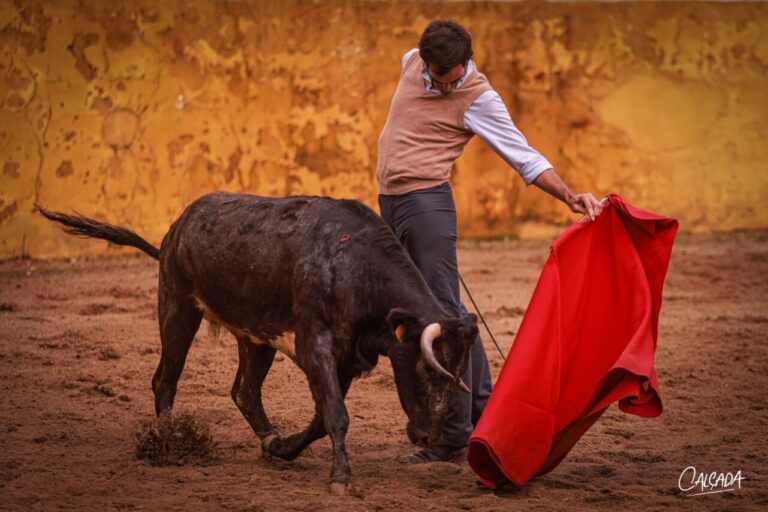Tuning de Días Gomes: le Portugal a un torero