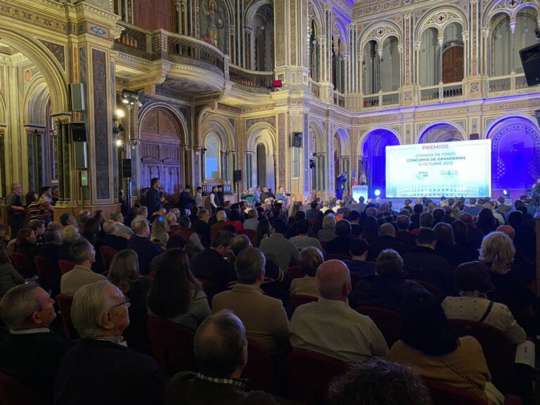 Valence ;  les Fallas avec des affiches