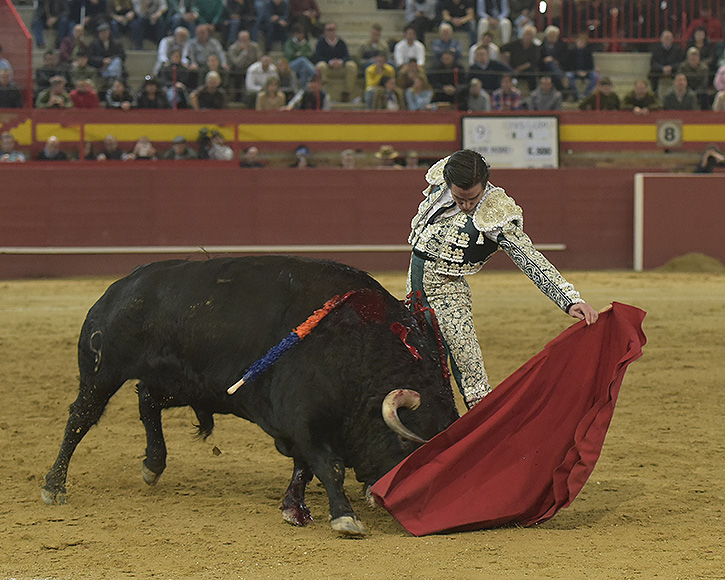 Juan Ortega, un torero nécessaire