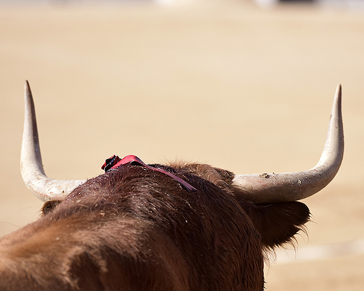 La Peña « Gallete » de Collado Villalba remet ses XXX Trophées Taurins